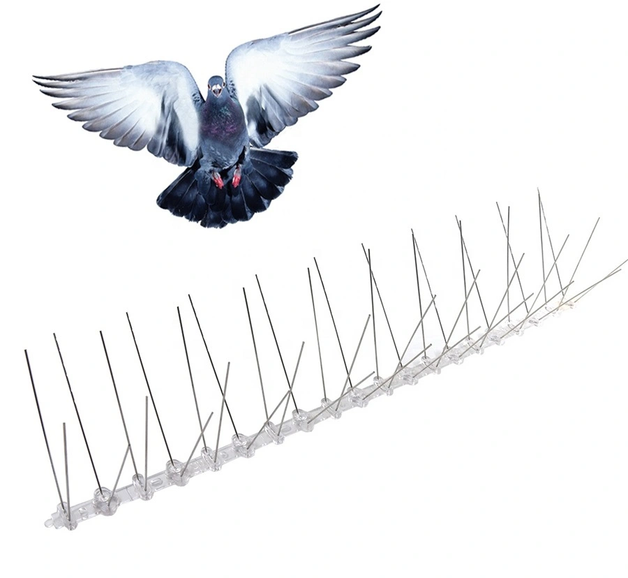 Bird spike installation Delhi